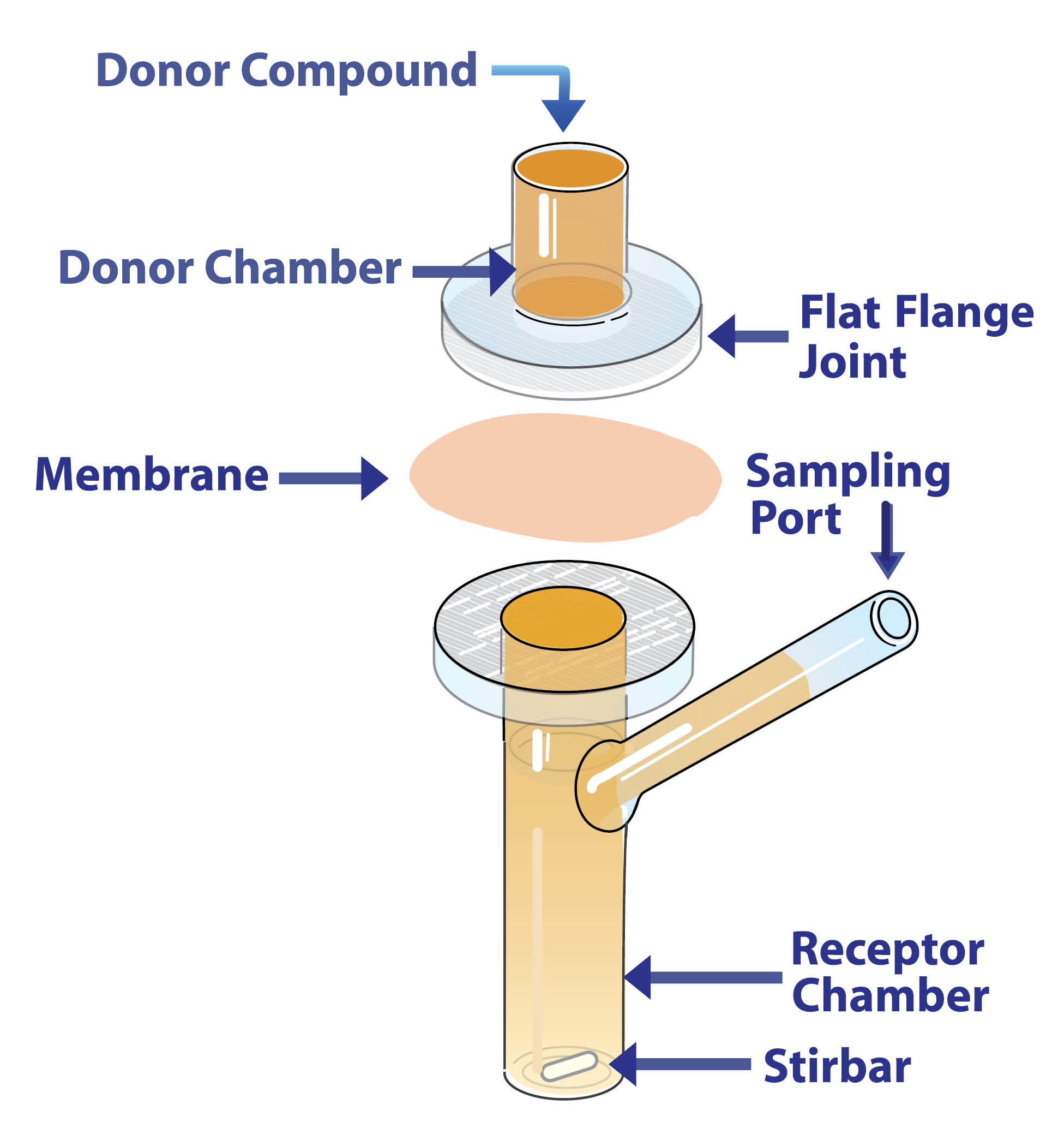 Franz Cell - The Original - PermeGear