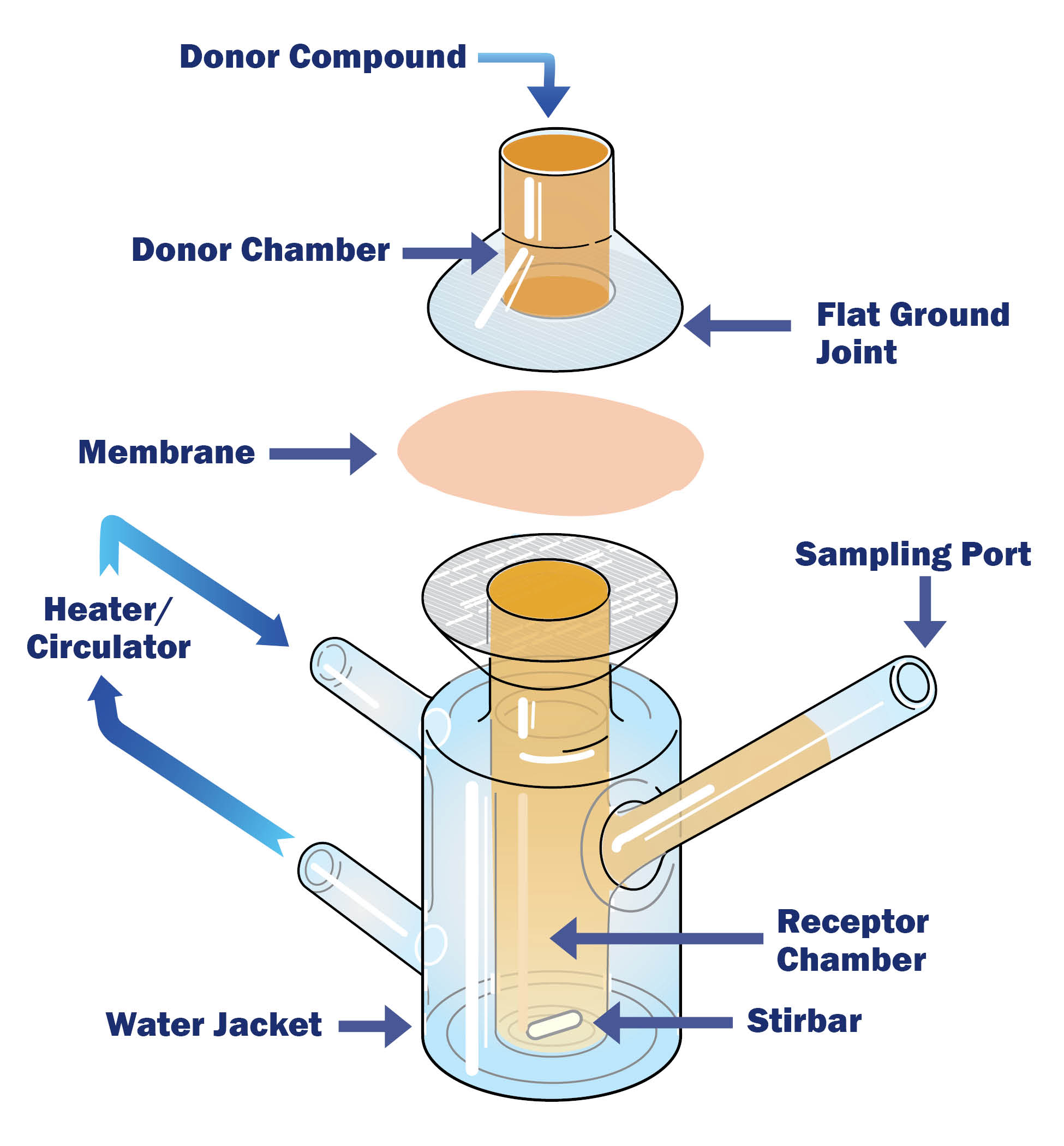 Franz Cell - The Original - PermeGear